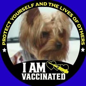 Meet your Posher, Joann